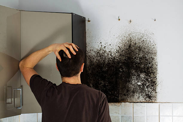 Mold Documentation for Insurance Claims